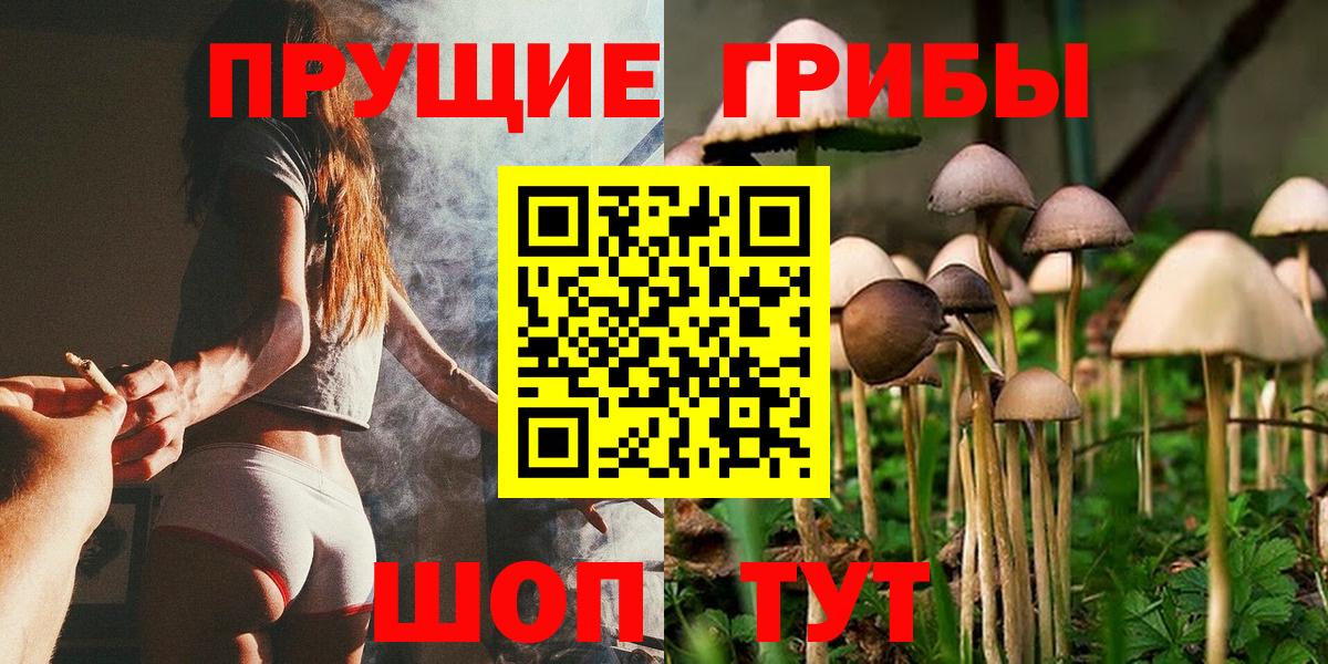 Псилоцибиновые грибы Psilocybe  Вход с VPN  где купить   Киселёвск 