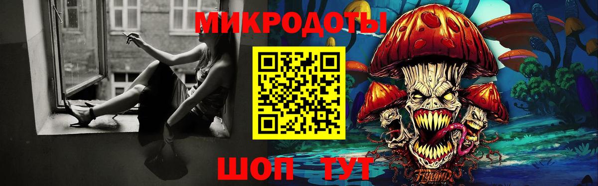 Галлюциногенные грибы Psilocybine cubensis Киселёвск